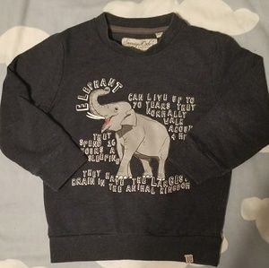 Elephant Facts Graphic Sweatshirt